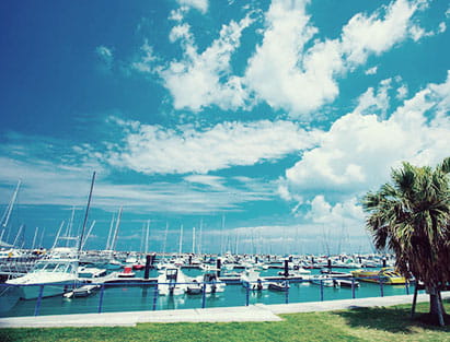 画像：近隣案内イメージ