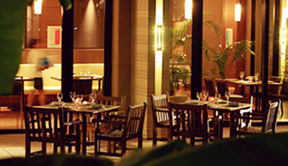 写真：ディナー